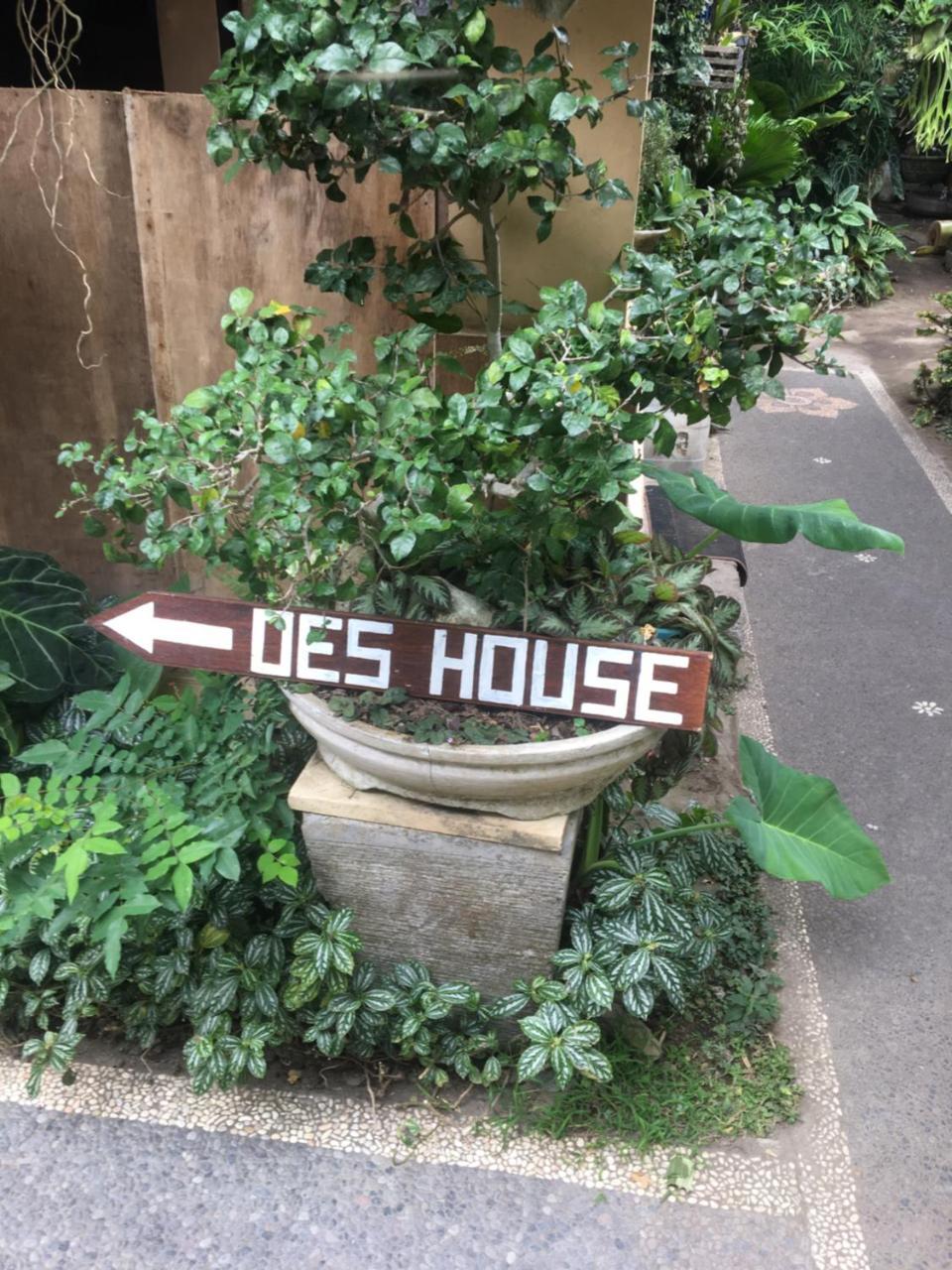 Oes House Homestay *